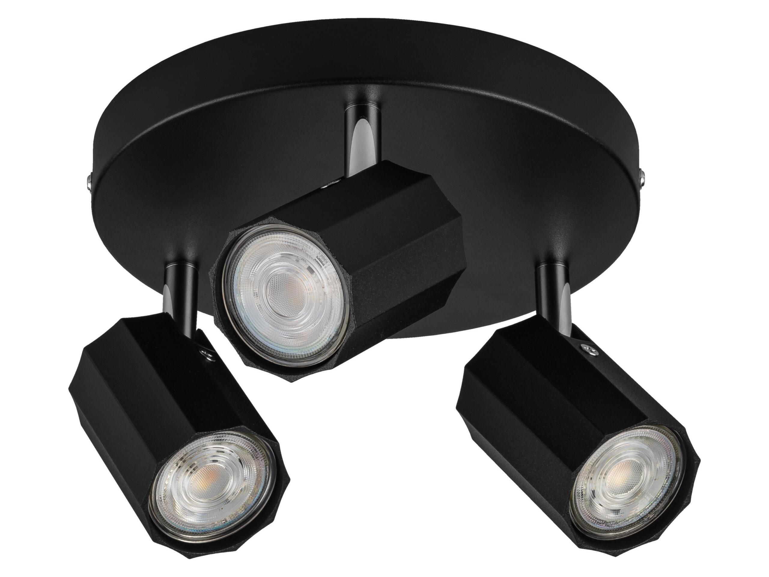 LIVARNO home Plafondlamp (Plafondlamp, mat zwart) (4052916606438)