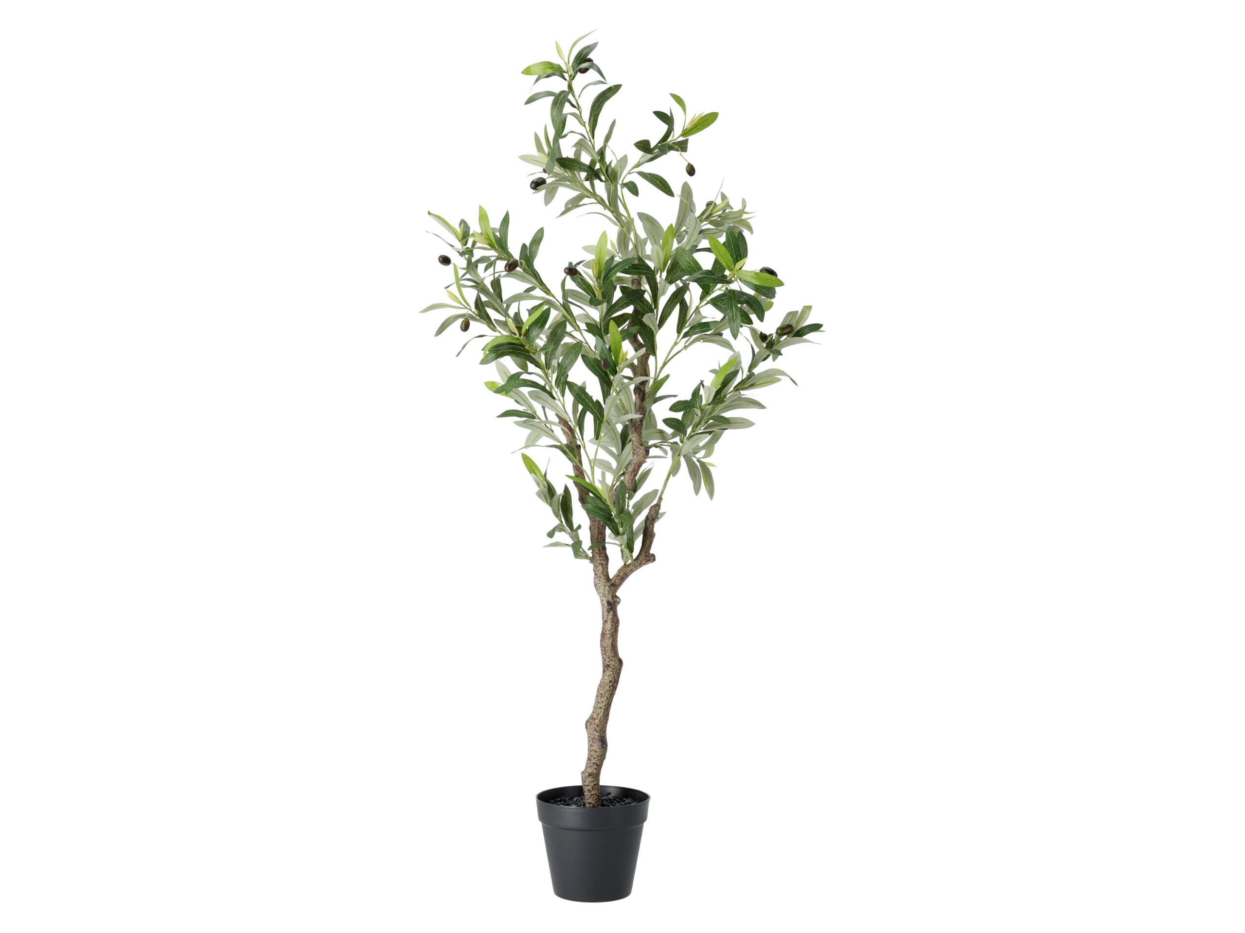 LIVARNO Kunstplant (Olijfboom) (4054599236025)