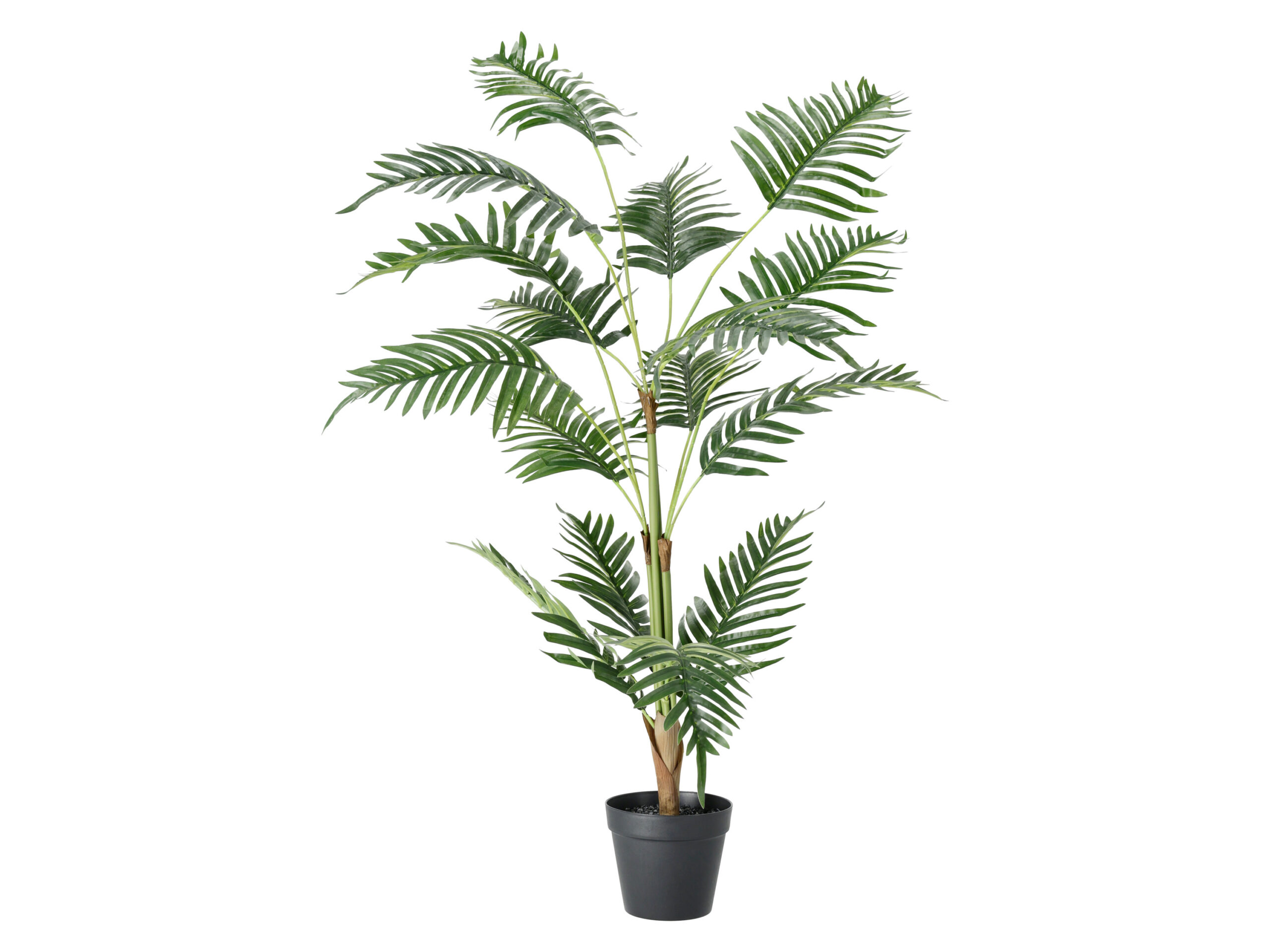 LIVARNO Kunstplant (Palmboom) (4054599236049)