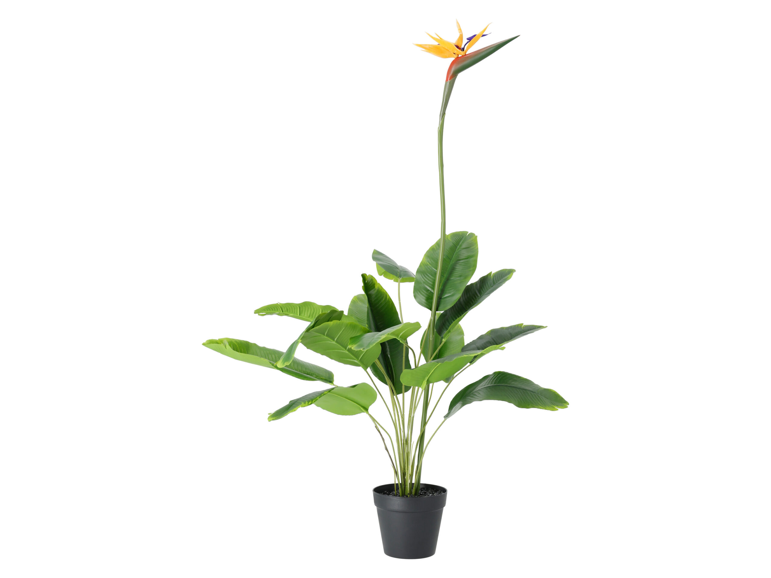 LIVARNO Kunstplant (Strelitzia) (4054599236032)