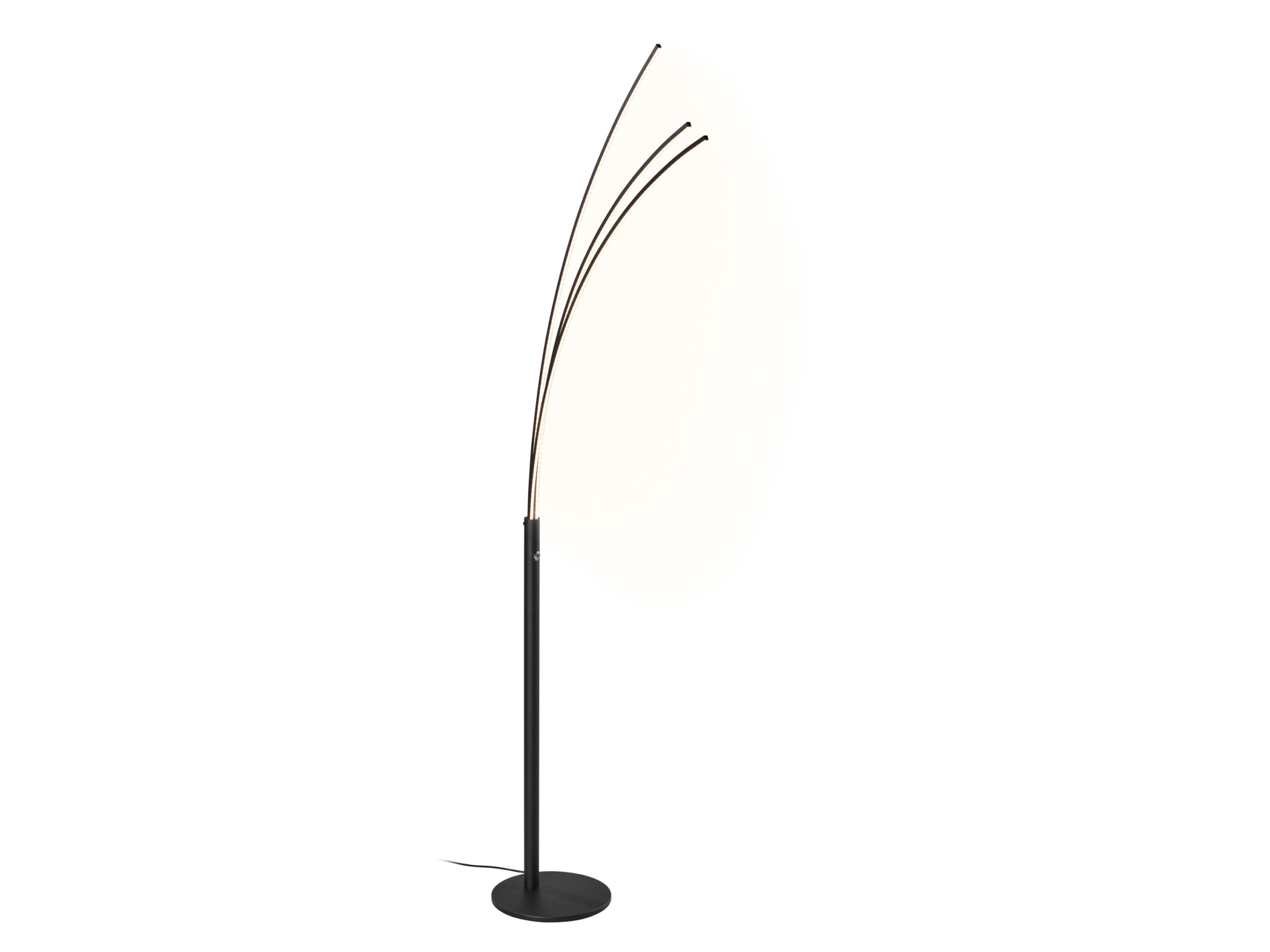 LIVARNO Staande LED-lamp - warmwit (Palmlamp, Zwart mat) (4052916917848)